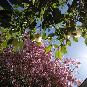 Meet your Posher, Tamara